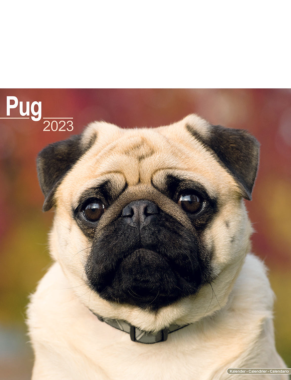 Pug 2023 Luxury Calendar Chums