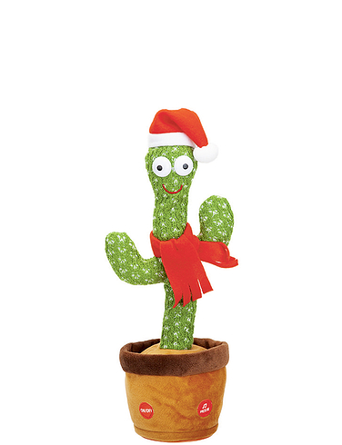 Christmas Cactus