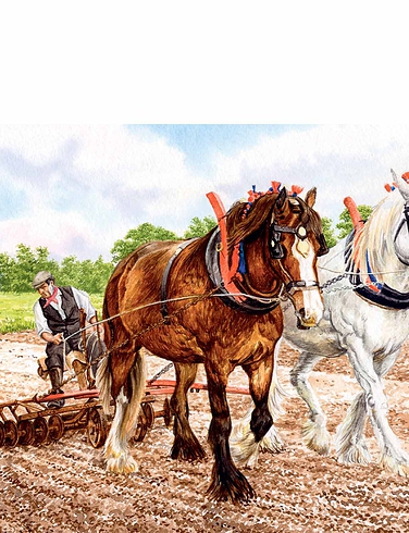 Harvesting Horses 4 x 500pc Jigsaw Set