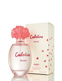 Cabotine Rose Multi