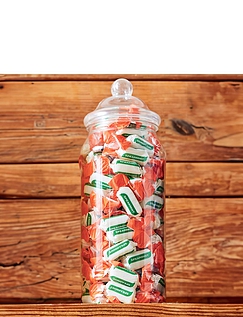 Spearmint Chew Sugar Free Treat Jar Multi