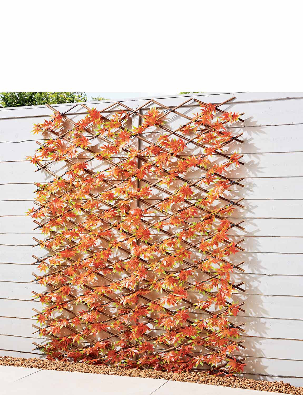 Red Acer Leaf Expanding Trellis Chums