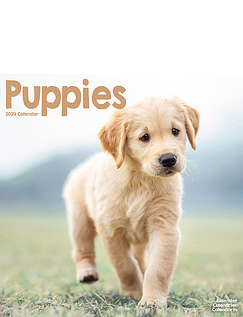 Puppies 2024 Luxury Calendar Multi