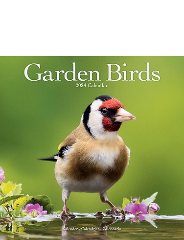 Garden Birds 2024 Luxury Calendar Chums   HA652 Multi 1 Large 