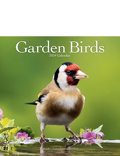 Garden Birds 2024 Luxury Calendar Multi
