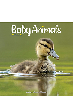 Baby Animals 2024 Luxury Calendar Multi