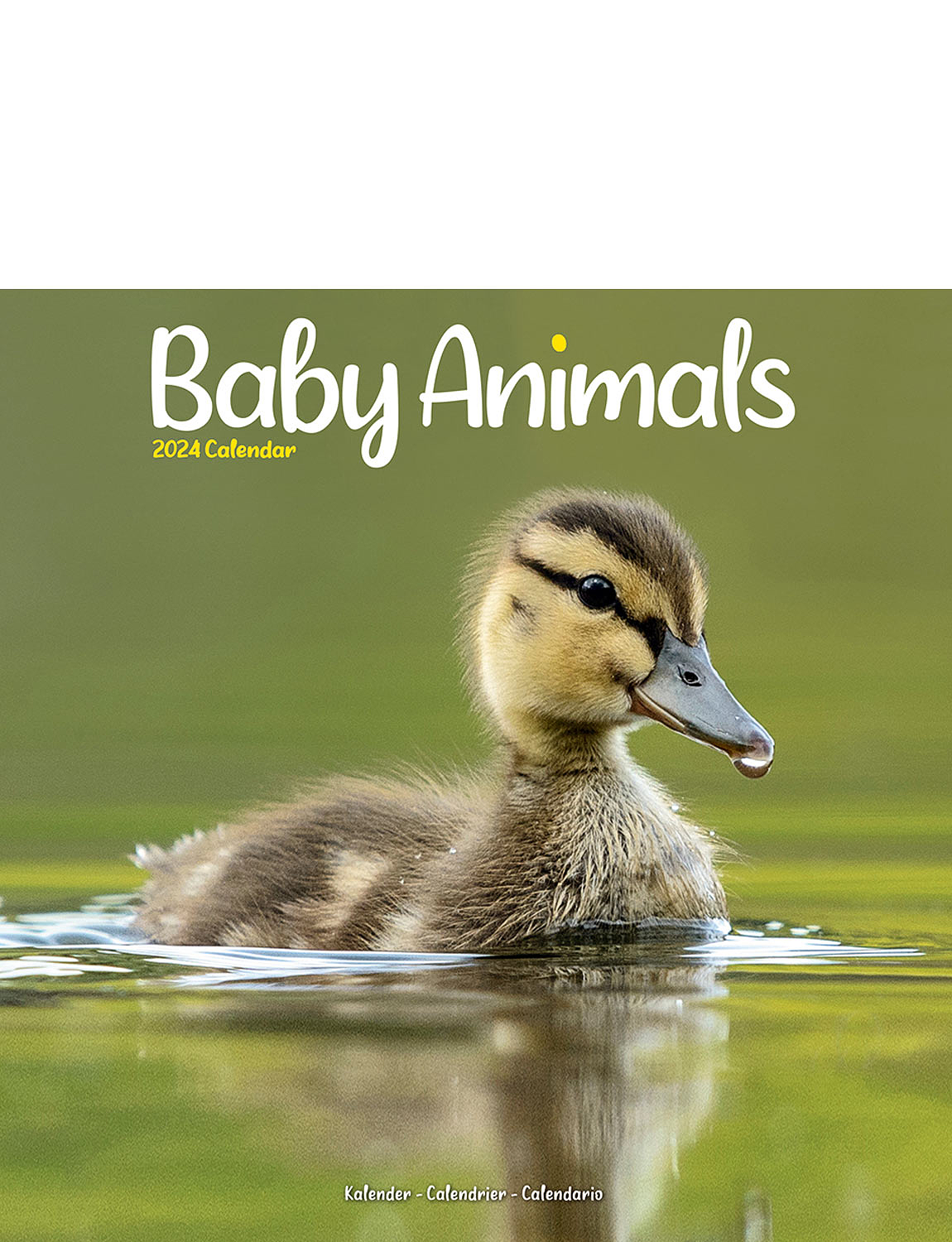 Baby Animals 2024 Luxury Calendar Chums   HA660 Multi 1 Zoom 