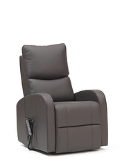 Morland Dual Rise and Recliner Black