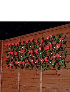 Red Solar Expanding Trellis Red
