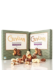 Guylian Seahorse Chocolate Collection Multi