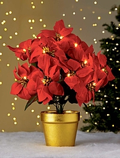 LED Poinsettia Clear