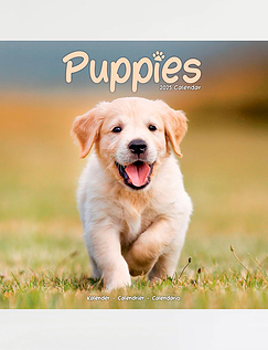 Puppies 2025 Luxury Calendar Multi