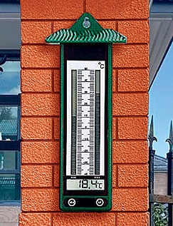 Outdoor Thermometer Green