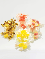 Sugar Free Favourite Mix Set of 4 Multi