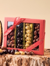 Chocolate Covered Nuts Multi