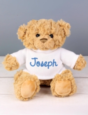 Teddy Bear With Jumper Blue