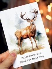 Personalised Pack of 10 Christmas Cards Multi