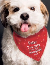Dog Bandana Red