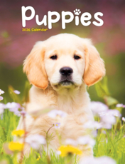 Puppies Luxury 2025 2026 Calendar Multi