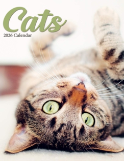 Cats Luxury 2025 2026 Calendar Multi