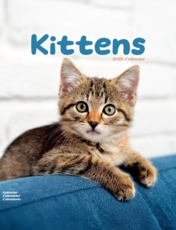 Kittens Luxury 2025 2026 Calendar Multi