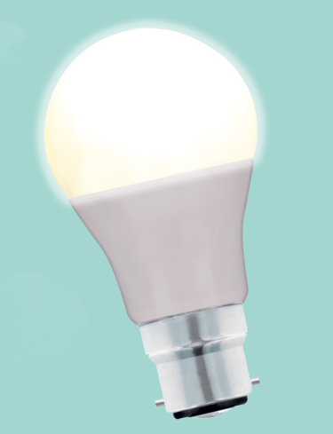 Status 13W Lifetime Replacement Bayonet Bulb