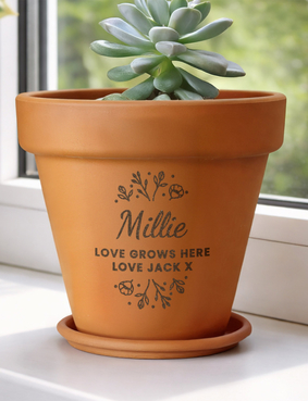 Terracotta Plant Pot Multi