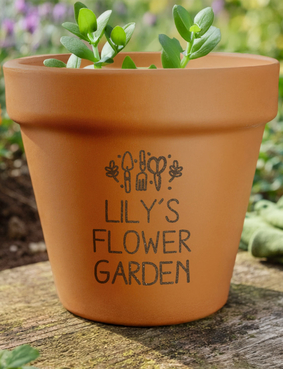 Terracotta Plant Pot Multi