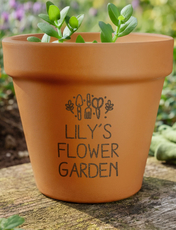Terracotta Plant Pot Multi