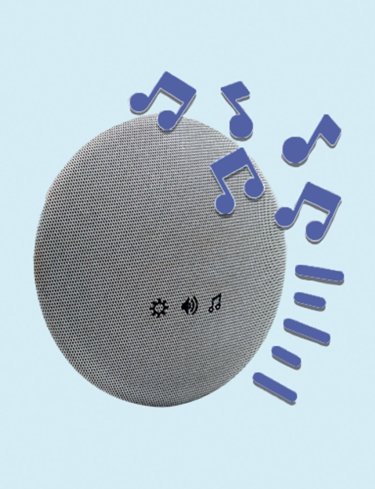 Extra Loud Door Chime