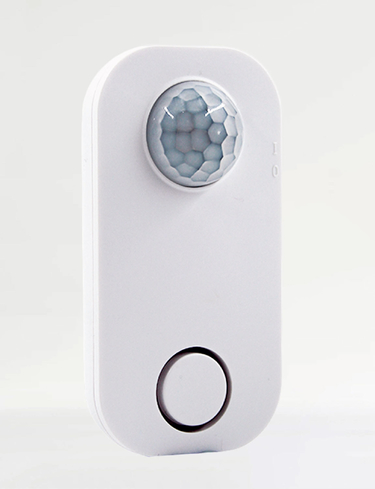 Motion Detector Alarm