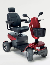 Safari Scooter Red