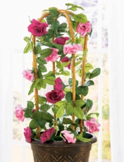 Set of 3 Bamboo Loop Supports Natural