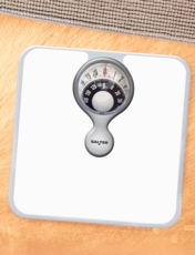 Salter Mechanical Scales with Window Black