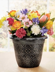 Set of 3 Plantpots Bronze