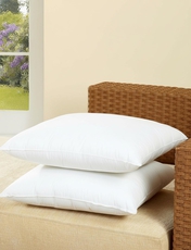 Feather Filled Cushion Pads NATURAL