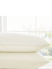 Cotton Jersey Pillowcase Pair Blue